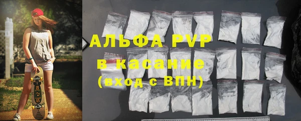 сатива Арсеньев