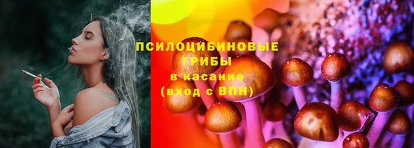 винт Армянск