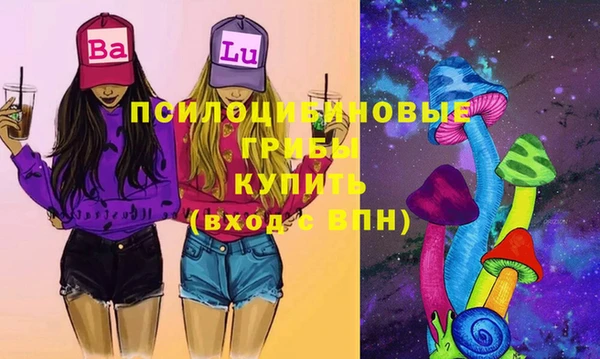 спиды Аркадак