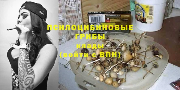 сатива Арсеньев