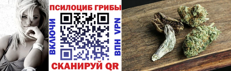 блэк спрут рабочий сайт Полярные Зори Псилоцибиновые грибы мицелий